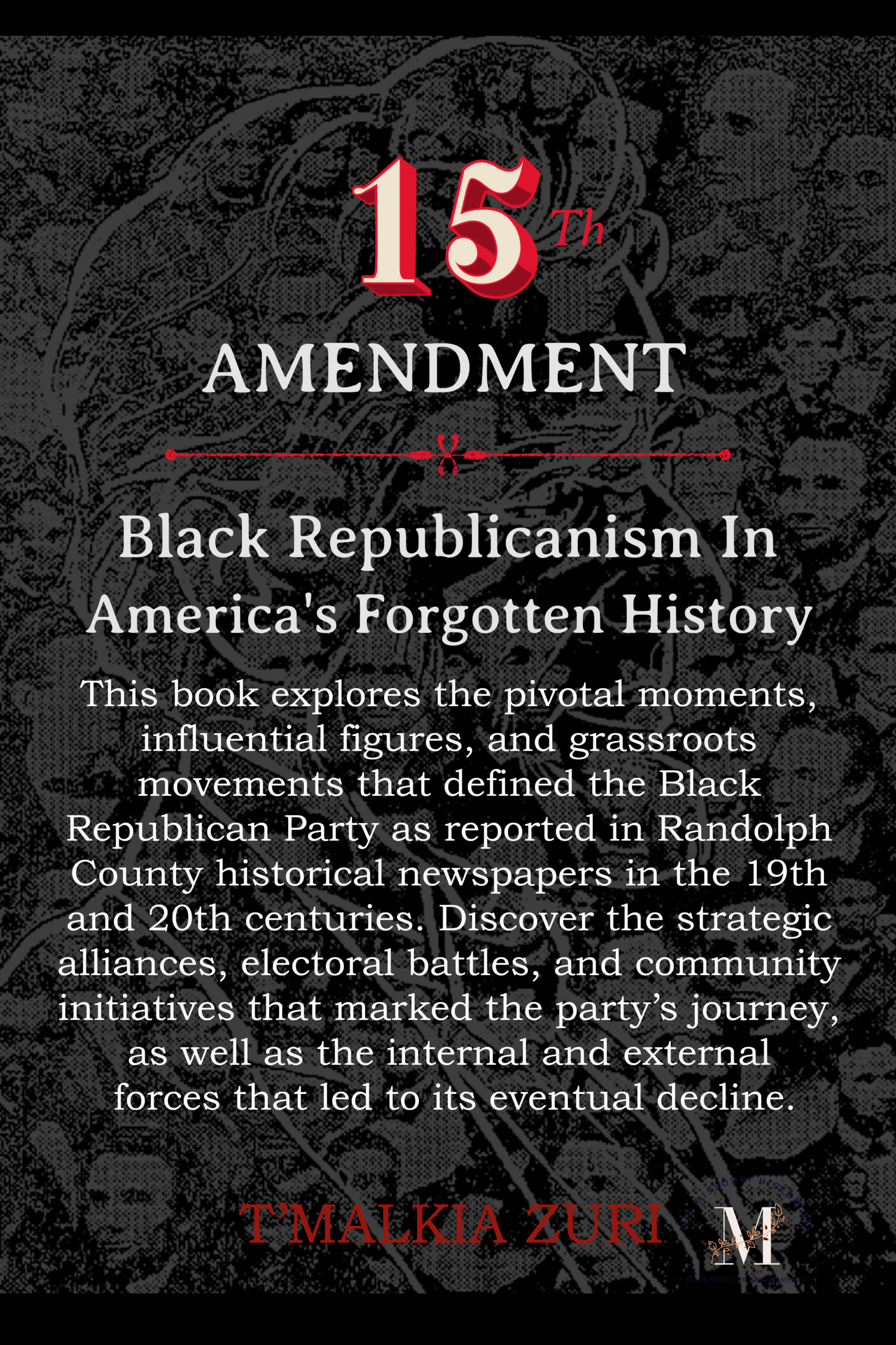 Book cover image featuring the 15th Amendment text from the U.S. Constitution